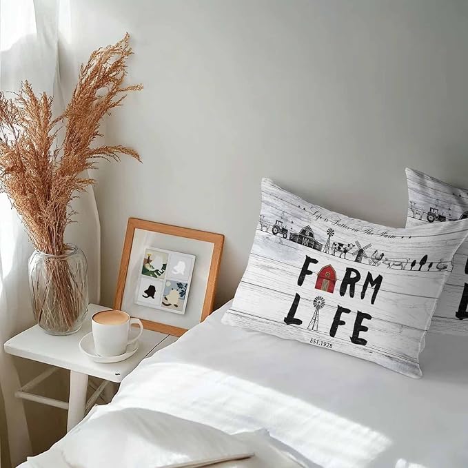Outdoor Throw Pillows Covers 20x12 inch Set of 2 Waterproof Farm Life Decorative Zippered Cushion Covers for Patio Furniture, Farmhouse Barn Windmill Cow Chicken Tractor Wood Lumbar Pillowcases