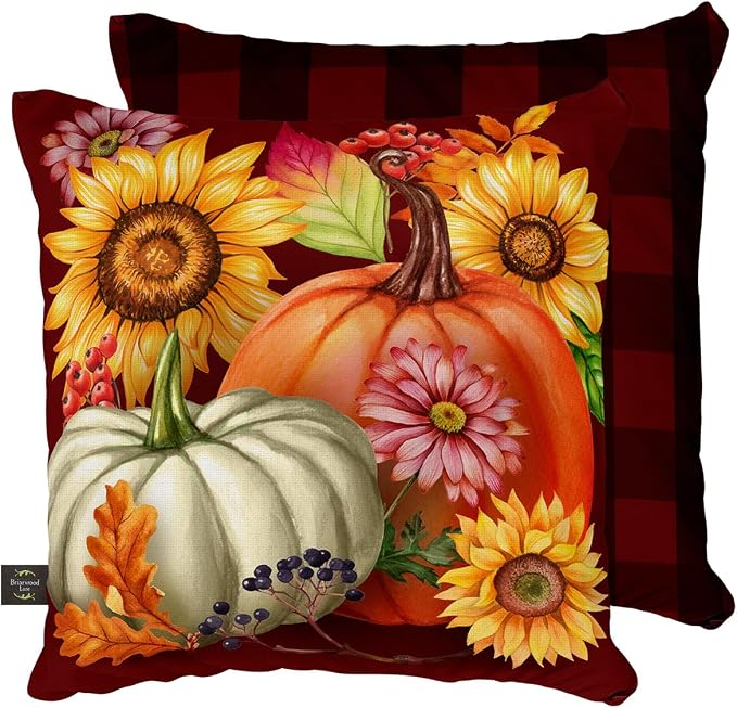 Briarwood Lane Fall Indoor/Outdoor Pillow 17x17 Fall Beauty for Fall Pillow