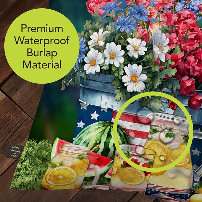 Briarwood Lane Summer Indoor/Outdoor Pillow 17x17 American Lemonade for Summer Pillow