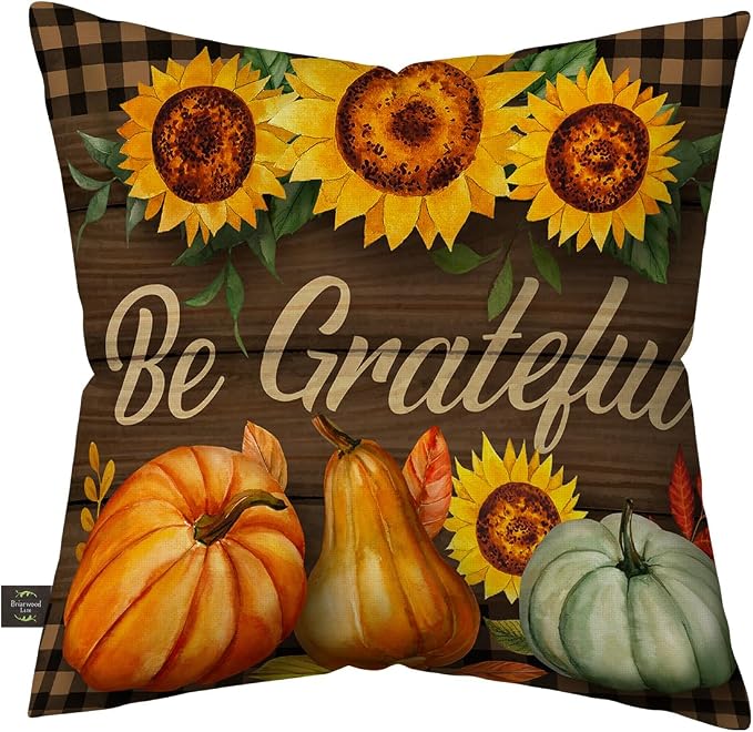 Briarwood Lane Indoor/Outdoor Pillow 17x17 Be Grateful Fall for Fall Pillow