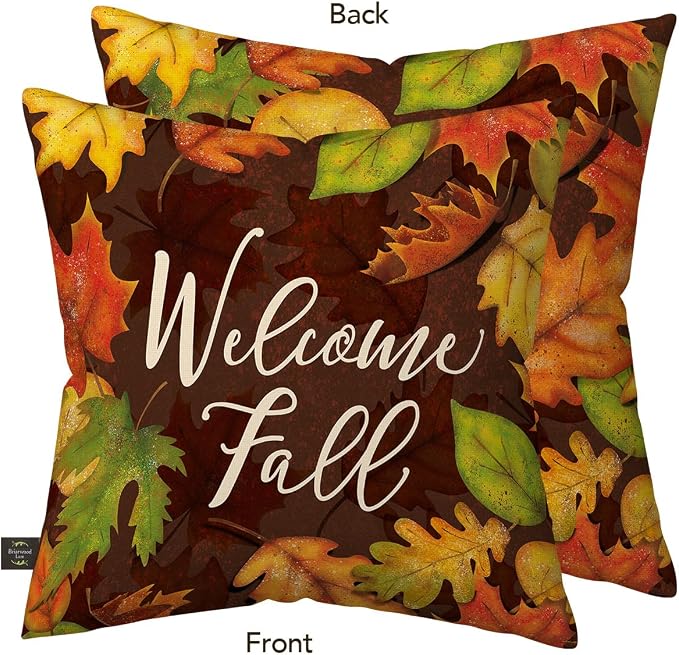 Briarwood Lane Fall Indoor/Outdoor Pillow 17x17 Leaf Toss for Fall Pillow