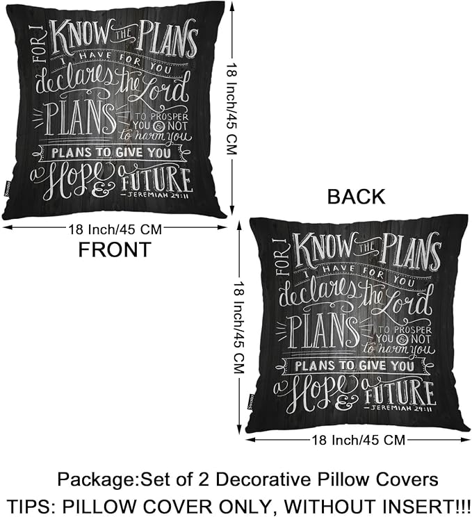 Swono Bible Verse Home Decorative Throw Pillows Covers, Holy Bible Set of 2 Pillow Case for Livingroom Bedroom, Boho Pillow Cushion Covers for Man Woman 18"X18", for I Know The Plan I Have for You