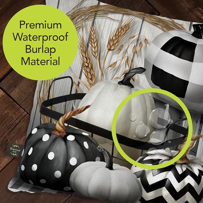 Briarwood Lane Indoor/Outdoor Pillow 17x17 Black White Pumpkins Fall Decorative for Fall Pillow