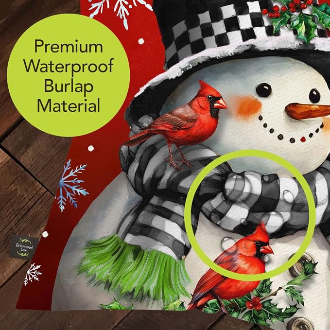 Briarwood Lane Winter Indoor/Outdoor Pillow 17x17 Snowman with Cardinals for Winter Pillow