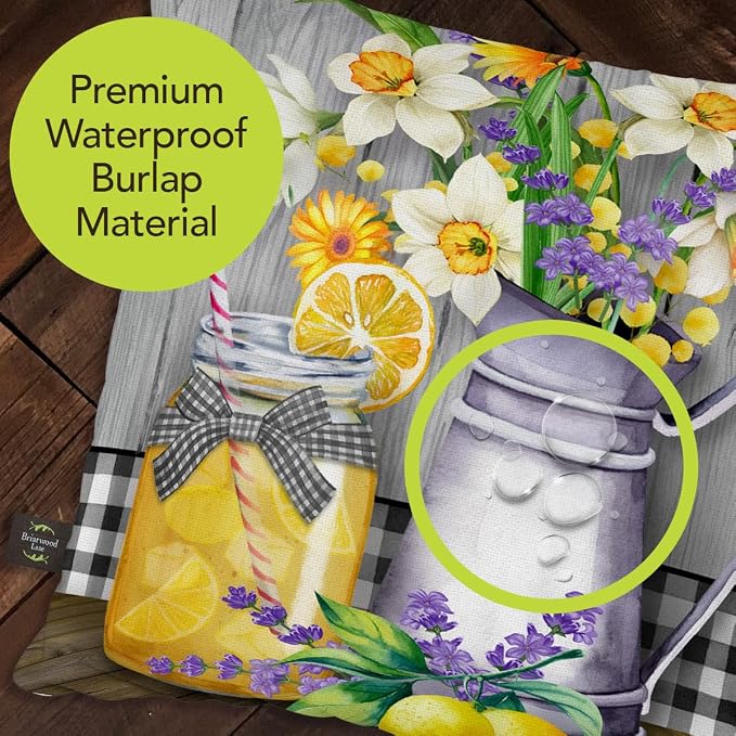 Briarwood Lane Summer Indoor/Outdoor Pillow 17x17 Lemonade for Summer Pillow