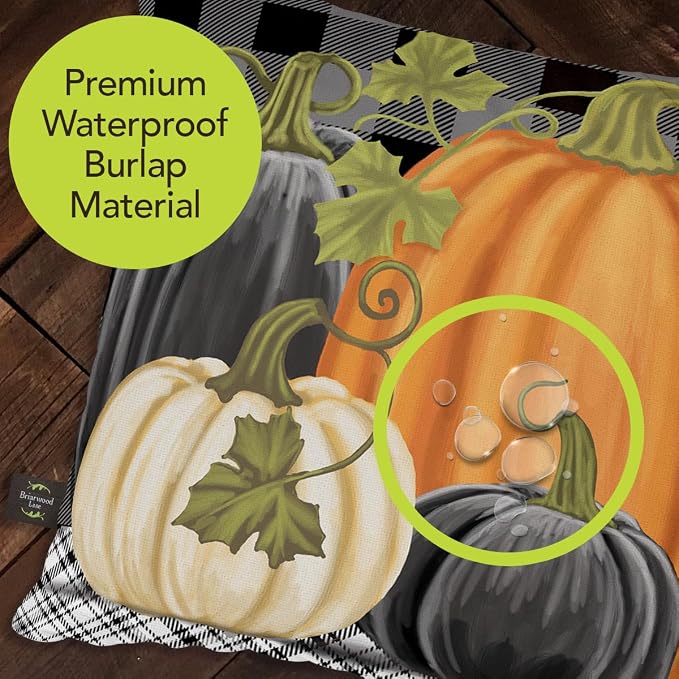 Briarwood Lane Indoor/Outdoor Pillow 17x17 Checkered Pumpkins Fall Decorative for Fall Pillow