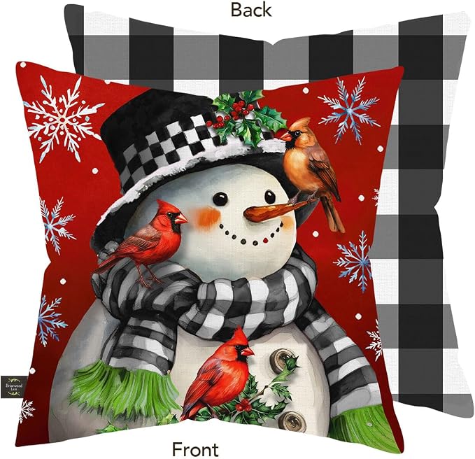 Briarwood Lane Winter Indoor/Outdoor Pillow 17x17 Snowman with Cardinals for Winter Pillow