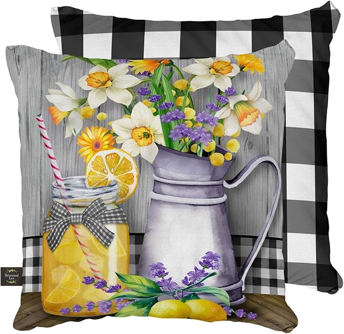 Briarwood Lane Summer Indoor/Outdoor Pillow 17x17 Lemonade for Summer Pillow