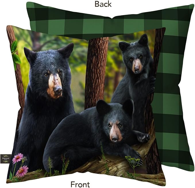 Briarwood Lane Summer Indoor/Outdoor Pillow 17x17 Black Bear Family for Summer Pillow