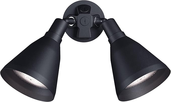 Progress Lighting 2-Light Adjustable Swivel Flood Light, Outdoor, P5203-31, Black