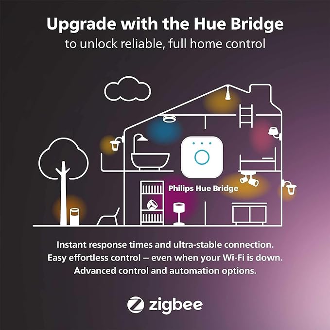 Philips Hue Outdoor 100W Power Supply Black - Connect Multiple Hue Outdoor Low Voltage Lights up to Total of 100W - 1 Pack - Requires Hue Bridge - Weatherproof