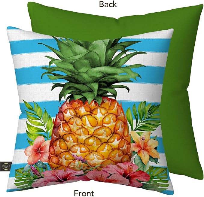 Briarwood Lane Everday Indoor/Outdoor Pillow 17x17 Pineapple and Stripes for Everday Pillow