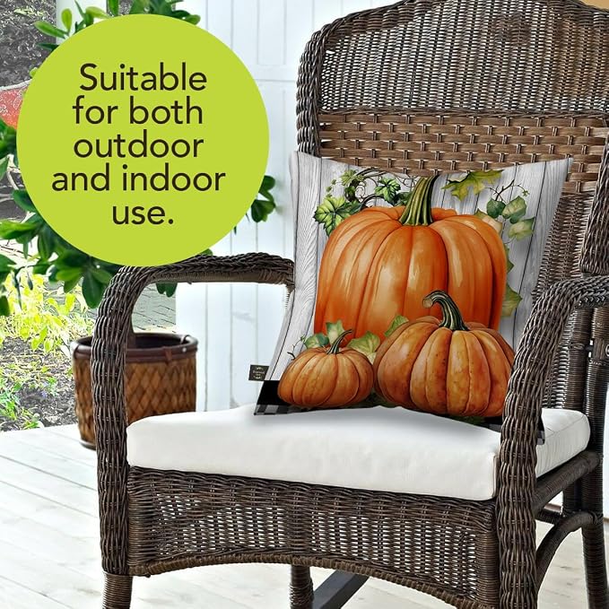 Briarwood Lane Fall Indoor/Outdoor Pillow 17x17 Country Farmhouse Pumpkins for Fall Pillow