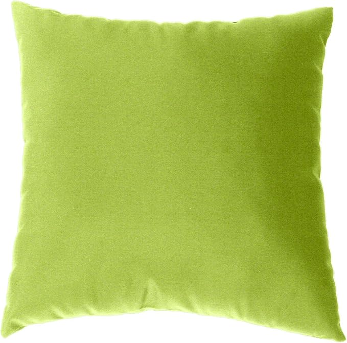 Cushion Source 17" x 17" Sunbrella Throw Pillow, Indoor/Outdoor Decorative Pillow, Fade and Water Resistant, Sunbrella Macaw