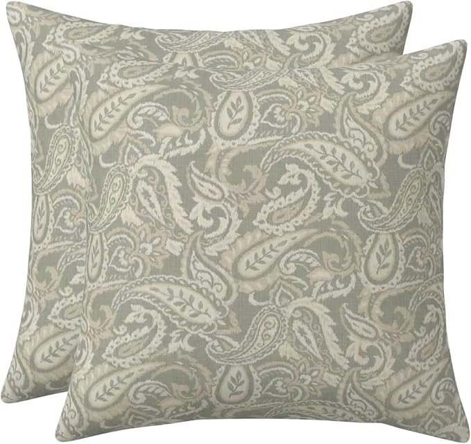 RSH DECOR: Square Throw Pillows Set of 2 | 24" x 24" | Water and Fade-Resistant Performance Fabric | Outdoor Pillow Covers with Down-Alternative Inserts | Made in USA (Ayideal Fossil)