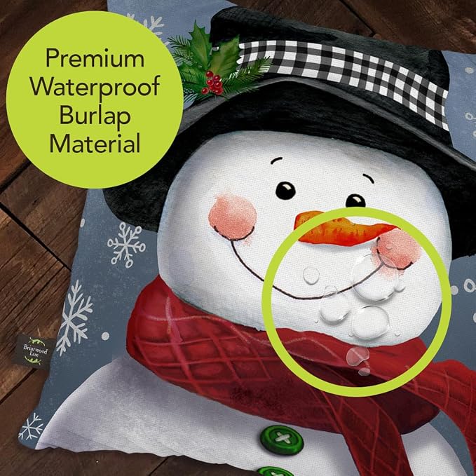 Briarwood Lane Winter Indoor/Outdoor Pillow 17x17 Smiling Snowman for Winter Pillow