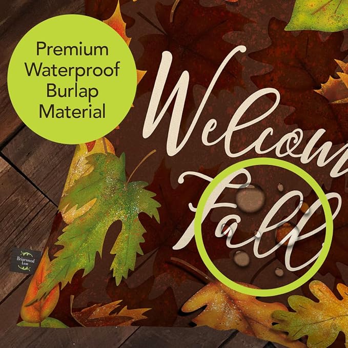 Briarwood Lane Fall Indoor/Outdoor Pillow 17x17 Leaf Toss for Fall Pillow