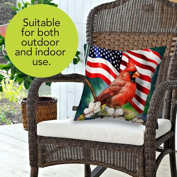 Briarwood Lane Spring Indoor/Outdoor Pillow 17x17 American Cardinal for Spring Pillow