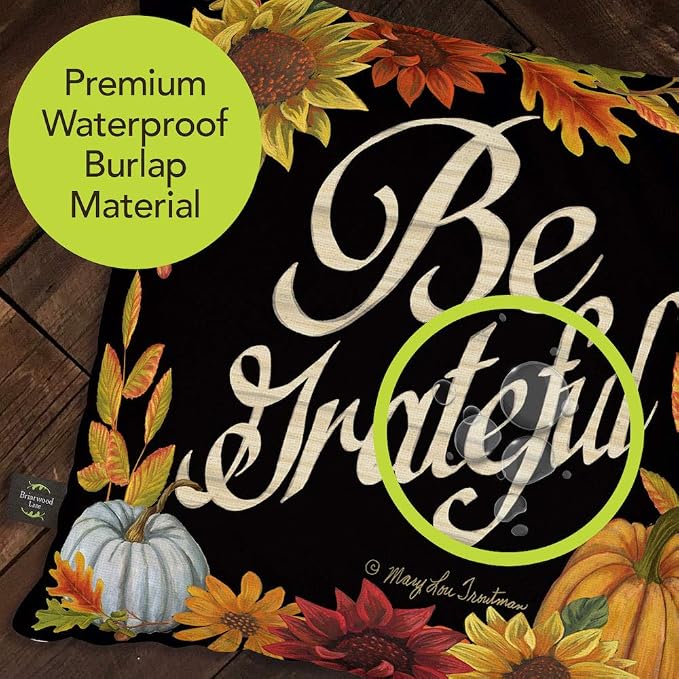 Briarwood Lane Thanksgiving Indoor/Outdoor Pillow 17x17 Be Grateful Fall Decorative for Thanksgiving Pillow
