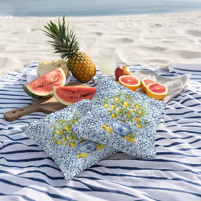 Summer Lemons Outdoor Pillow Covers 18x18 Inch Throw Pillow Covers Set of 2 Waterproof Decorative Pillow Cases Blue Boho Floral Farmhouse Botanical Cushion Covers for Patio Furniture Garden Couch Sofa