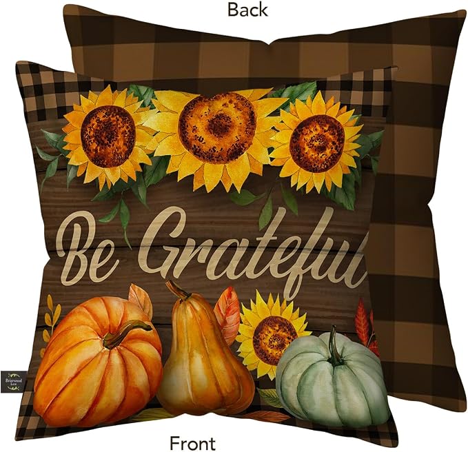 Briarwood Lane Indoor/Outdoor Pillow 17x17 Be Grateful Fall for Fall Pillow