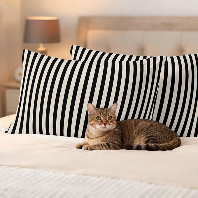 Black Beige Stripe Outdoor Pillow Covers Set of 2 Vintage Abstract Classic Minimalist Vertical Striped Waterproof Throw Pillow Cover Decorative Cushion Cases for Patio Porch Garden 20X12 Inch