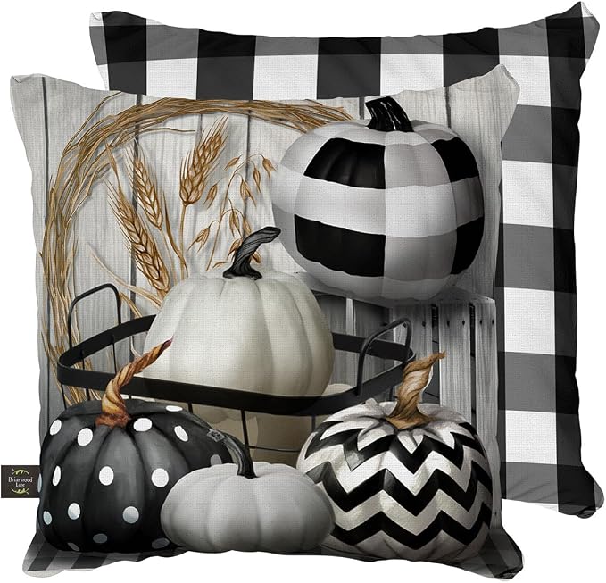 Briarwood Lane Indoor/Outdoor Pillow 17x17 Black White Pumpkins Fall Decorative for Fall Pillow