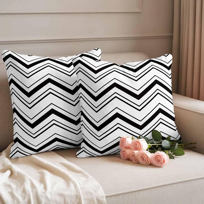 Abstract Geometric Outdoor Pillow Covers Set of 2 Ripple Stripe Chevron Black and White Waterproof Throw Pillow Cover Decorative Cushion Cases for Patio Porch Garden 20X20 Inch