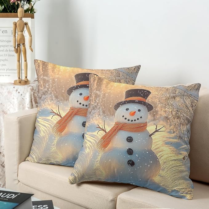 Winter Pillow Covers Snowman in The Sunshine Throw Pillow Covers 20x20 Snowflakes Pillow Case Double Sided Printing Cushion Case for Home Decor Couch Sofa Set of 2