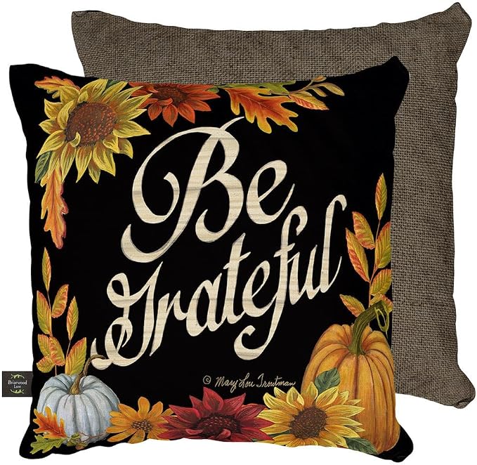 Briarwood Lane Thanksgiving Indoor/Outdoor Pillow 17x17 Be Grateful Fall Decorative for Thanksgiving Pillow
