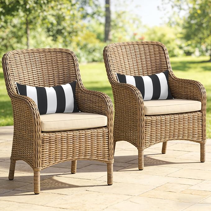 Outdoor Lumbar Pillows, Water Repellent Cushion Pillows 12x20 Inch, Outdoor Pillows with Inserts for Home Garden, Pack of 2, Cabana Black