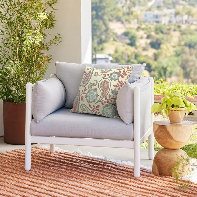 Outdoor 20x20 Inch Throw Pillows with Inners, Square Pillows Decorative Set of 2 for Home Garden Furniture, Paisley Vintage