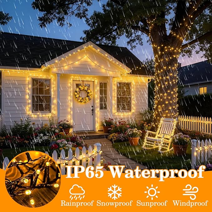 FairyGlim Christmas Lights Outdoor 100LED 33FT, Green Wire Connectable Christmas String Lights | 8 Modes Twinkle Fairy Lights Plug in with Timer, for Indoor Outside Xmas Trees Garden Party, Warm White
