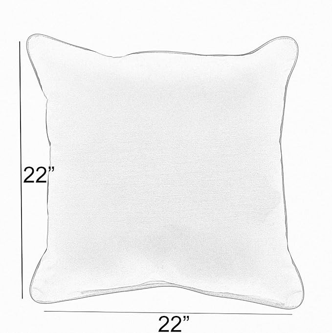 Sorra Home x Sunbrella - Square Pillows (Set of 2), Tan & Black Stripes