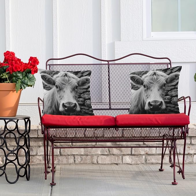 Swono Highland Cattle Pillow Covers, Farm Animal Cow Cattle Decorative Pillow Case Home Sofa Cushion Set, Pillow Cushion Cases for Bed/Patio/Garden/Balcony, 2-Pack 18x18 Inch, Black White