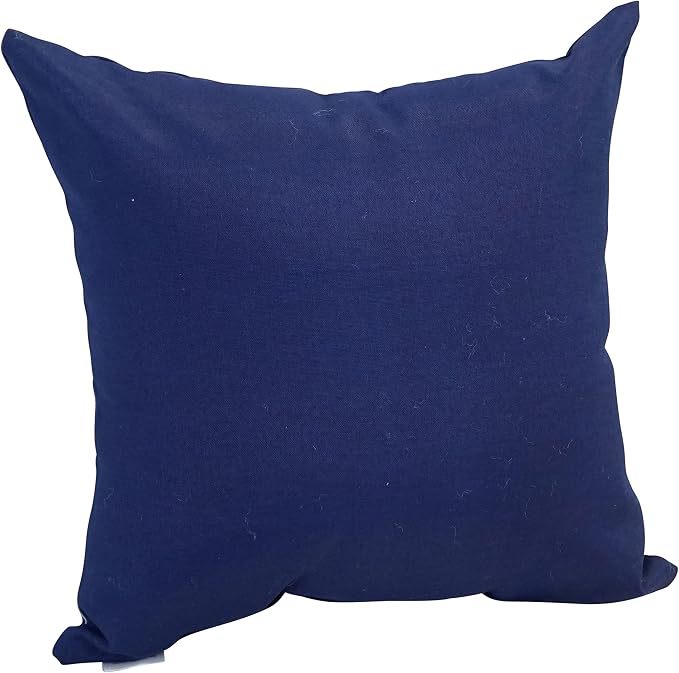 Blazing Needles Outdoor Reversible Square Throw Pillow, 17", Patriotic Bike, 1 Count