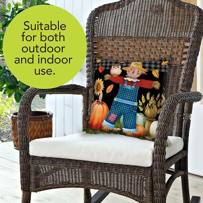 Briarwood Lane Fall Indoor/Outdoor Pillow 17x17 Friendly Scarecrow for Fall Pillow