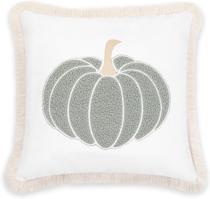 Hofdeco Premium Fall Coastal Patio Indoor Outdoor Pillow Cover Only, 20"x20" Water Repellent for Backyard, Couch, Muted Aqua Neutral Tan Embroidered Pumpkin with Fringed Trim