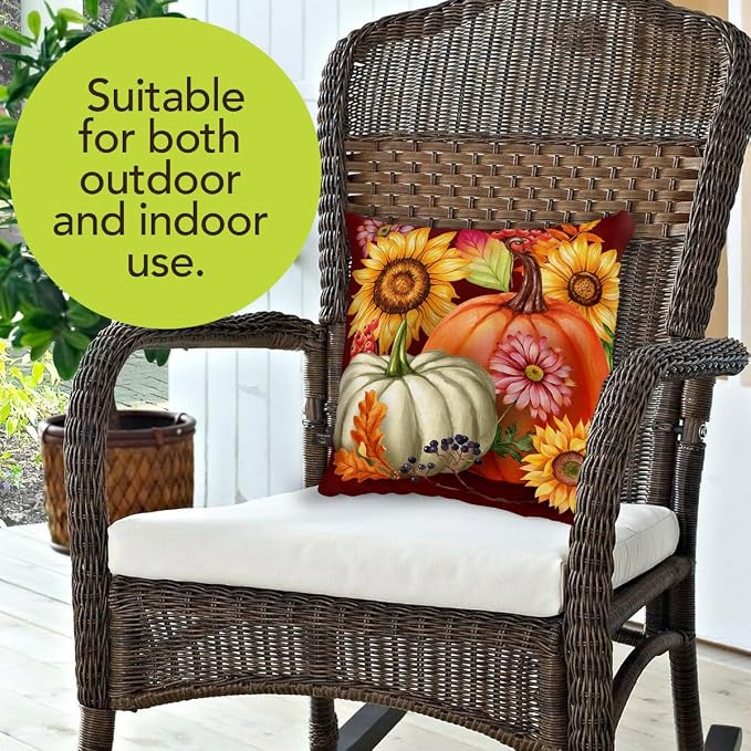 Briarwood Lane Fall Indoor/Outdoor Pillow 17x17 Fall Beauty for Fall Pillow
