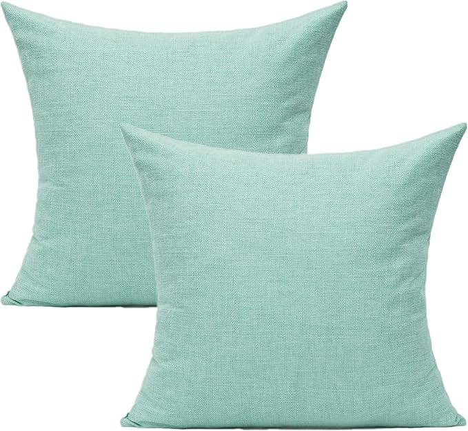 All Smiles Aqua 20x20 Throw Pillow Covers Cases for Couch Sofa Home Decoration Set of 2 Outdoor Farmhouse Patio Pillowcases