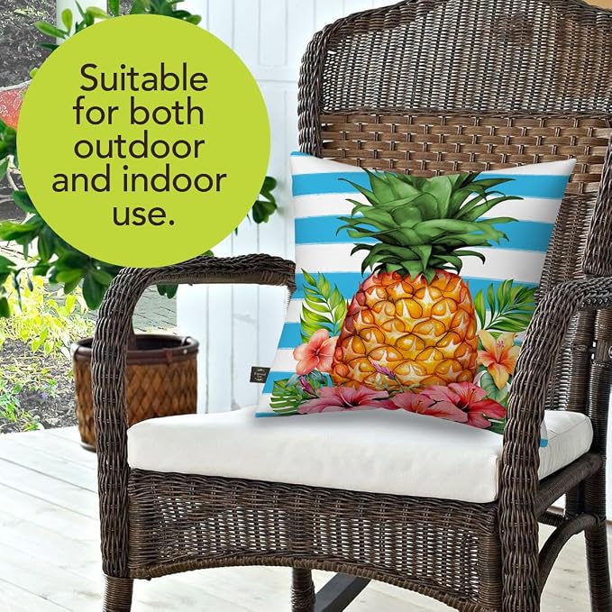 Briarwood Lane Everday Indoor/Outdoor Pillow 17x17 Pineapple and Stripes for Everday Pillow