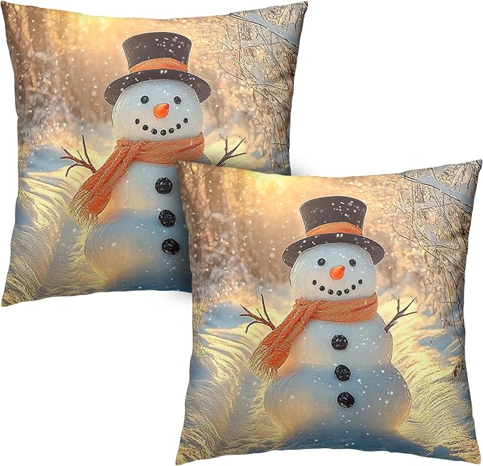 Winter Pillow Covers Snowman in The Sunshine Throw Pillow Covers 22x22 Snowflakes Pillow Case Double Sided Printing Cushion Case for Home Decor Couch Sofa Set of 2