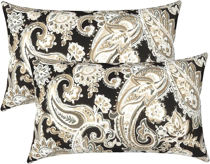 LVTXIII Outdoor Lumbar Pillow Covers Only Set of 2 Patio Decorative Pillow Cases, Water Repellent Lumbar Cushion Cases for Sofa, Patio Couch Garden Use, 12x20 Inch, Paisley Black