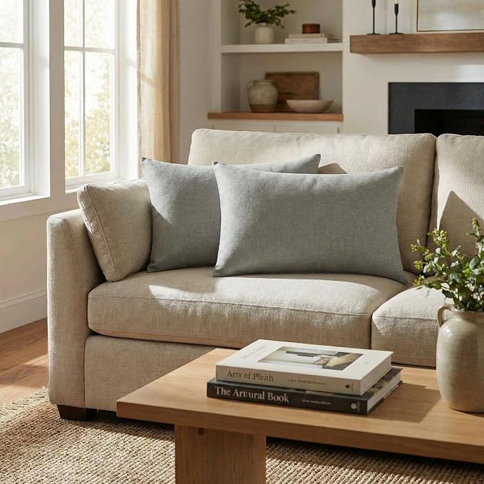 RSH DECOR: Designer Select Sunbrella Jumbo Lumbar Pillows Set of 2 | 26" x 16" | Water and Fade-Resistant Performance Fabric | Indoor Outdoor Accent Pillows | Made in USA (Spectrum Dove)