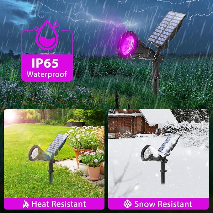 T-SUN Purple Solar Spot Lights Outdoor, Solar Black Lights Outdoor,1 Pack | 4 LEDs, 2 Lighting Modes, IP65 Waterproof Dusk to Dawn Solar Lights for Tree, Patio, Yard, Garden, Driveway, Halloween