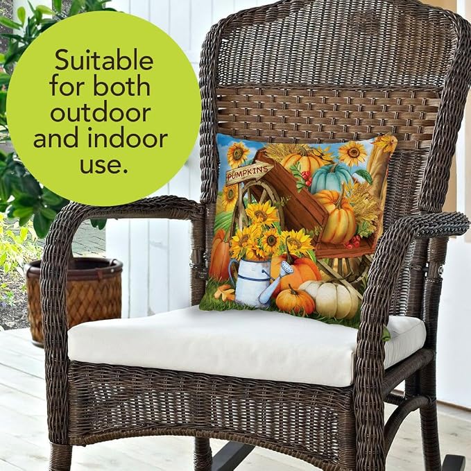 Briarwood Lane Fall Indoor/Outdoor Pillow 17x17 Pumpkin Cart for Fall Pillow