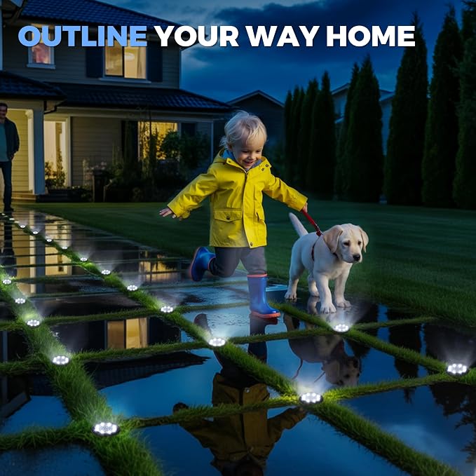 SOLPEX 12 Pack Small Solar Ground Lights, Driveway Lights Cool White | Solar Powered Pathway Lights Waterproof, Landscape Lighting for Walkway, Garden, Backyard, Patio- Black Lampshade