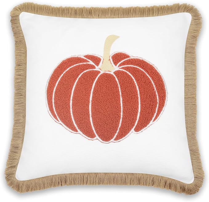Hofdeco Premium Fall Coastal Patio Indoor Outdoor Pillow Cover Only, 20"x20" Water Repellent for Backyard, Couch, Rust Orange Embroidered Pumpkin with Fringed Trim