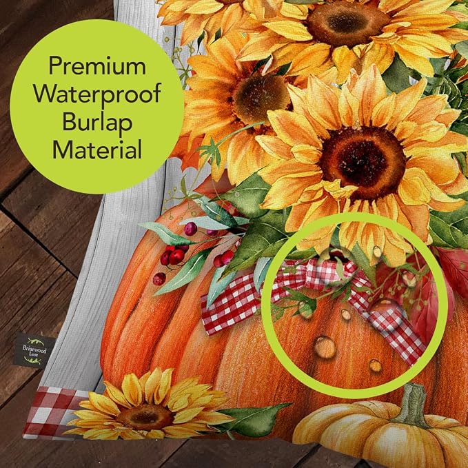 Briarwood Lane Fall Indoor/Outdoor Pillow 17x17 Sunflowers in Pumpkins for Fall Pillow