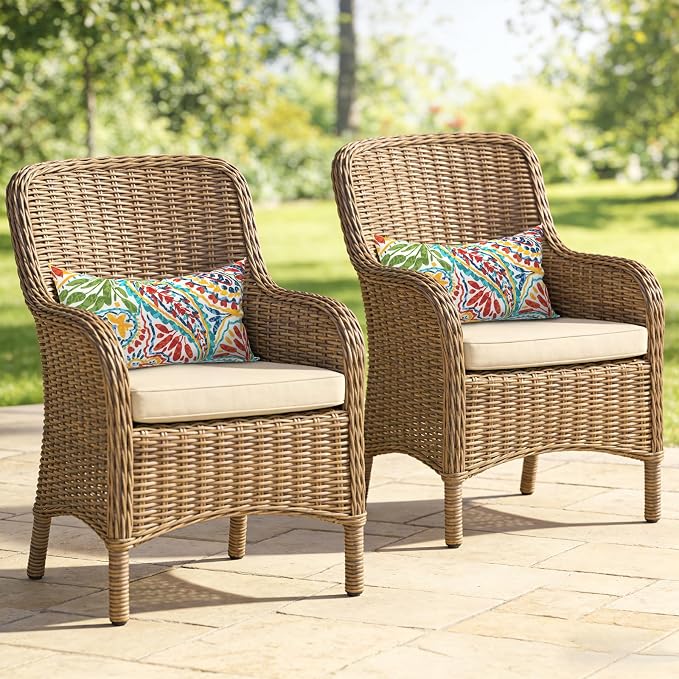 Outdoor Lumbar Pillows, Water Repellent Cushion Pillows 12x20 Inch, Outdoor Pillows with Inserts for Home Garden, Pack of 2, Paisley Multi